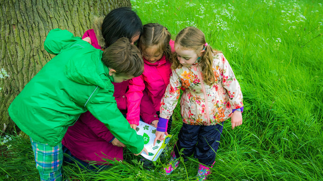 Children exploring outdoors with a tree ID sheet