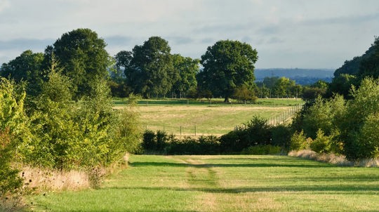 Fields near Pipe Hall Farm