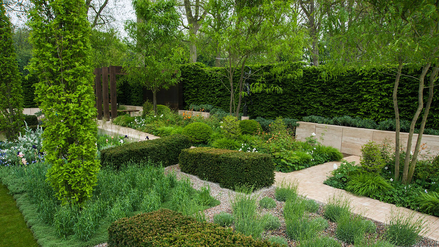 Irish Yew (Taxus baccata 'fastigiata') - Woodland Trust