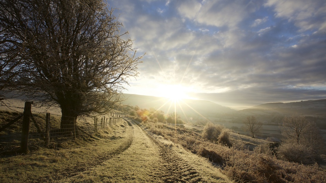 Sunset over a farm track with trees dotted alongside and hills in the background