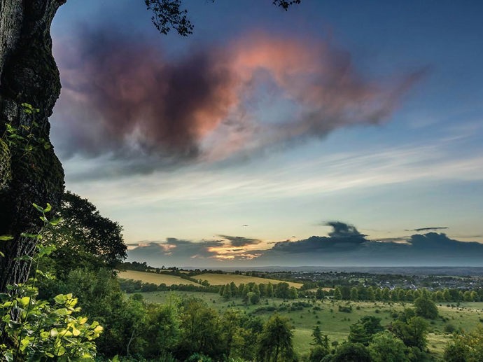 Umbraco.Cms.Infrastructure.PublishedCache.Property