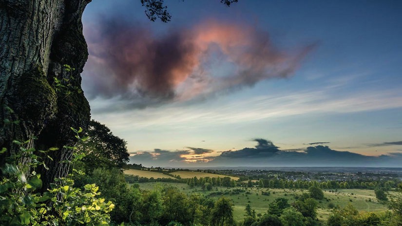 Umbraco.Cms.Infrastructure.PublishedCache.Property