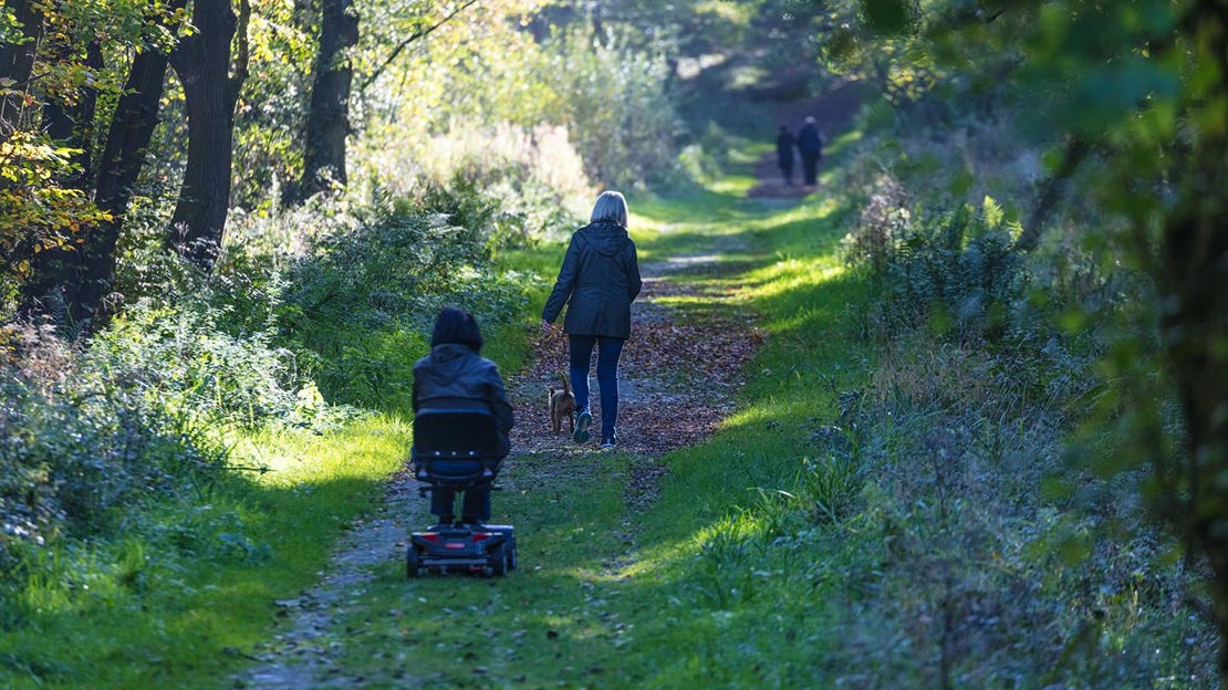 People on sunlit path through Uffmoor Wood