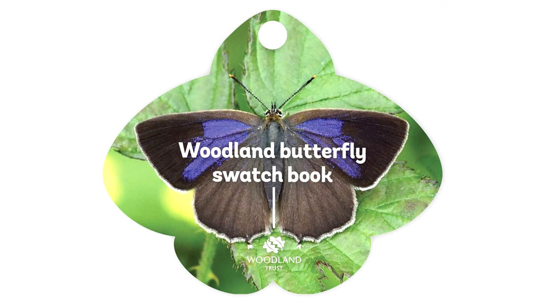 Woodland butterfly swatch book Woodland butterfly swatch book