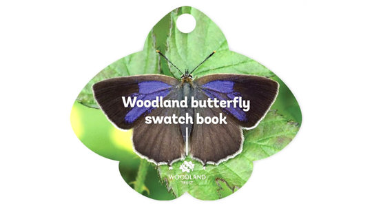 Woodland butterfly swatch book