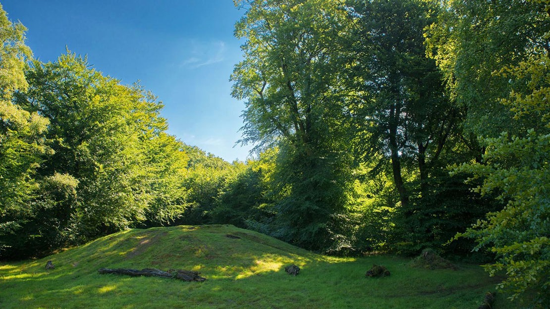 Funerary barrows, Wentwood