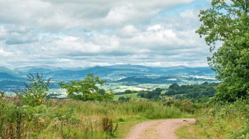 Path alongside Wentwood