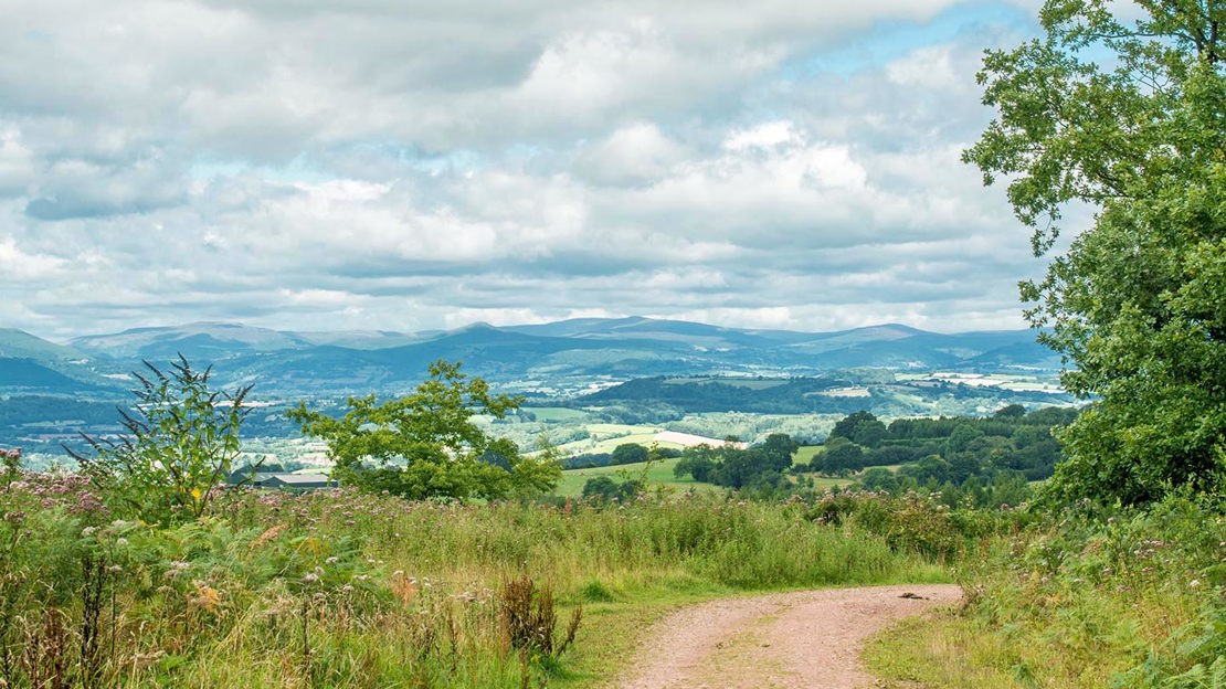 Path alongside Wentwood