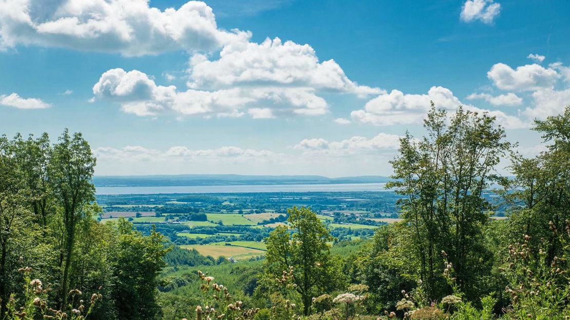 View from woodland over countryside, Wentwood