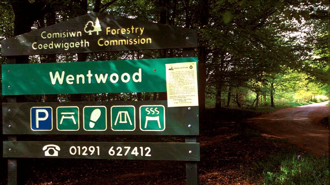 Forestry Commission welcome sign, Wentwood