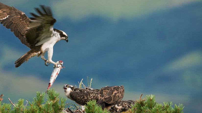 Umbraco.Cms.Infrastructure.PublishedCache.Property