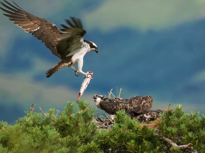 Umbraco.Cms.Infrastructure.PublishedCache.Property