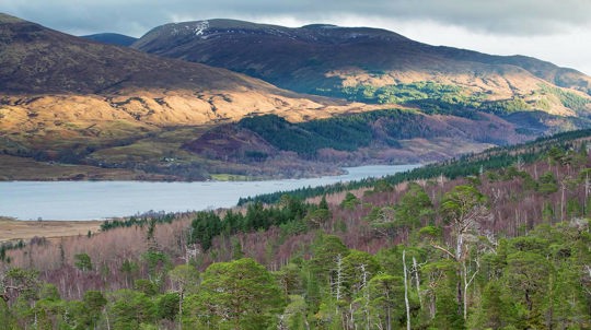 View over lake, Loch Arkaig Pine Forest