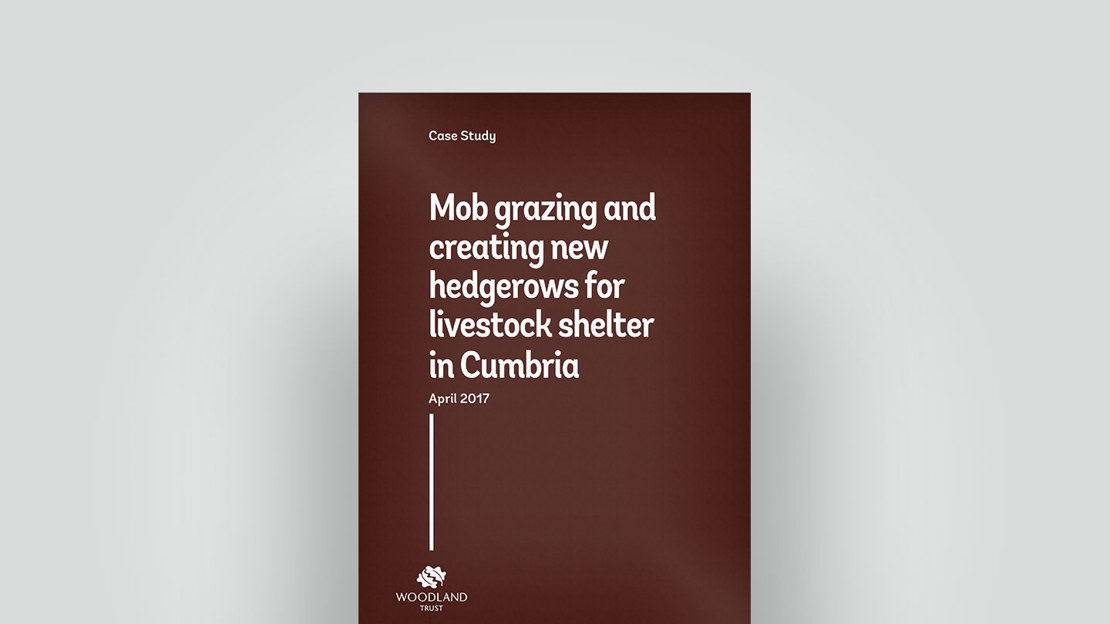 Grazing and hedgerow for livestock case study, April 2017 Grazing and hedgerow for livestock case study, April 2017