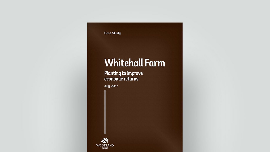 2017 case study on planting for best commercial returns 2017 case study on planting for best commercial returns
