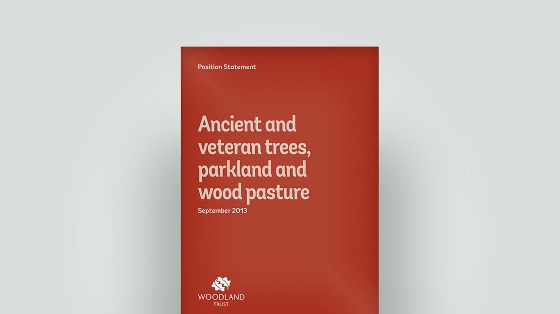 Ancient trees position statement, September 2013