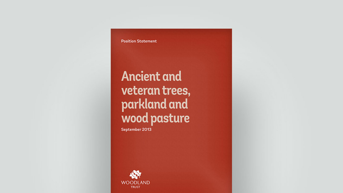 Ancient trees position statement, September 2013 Ancient trees position statement, September 2013