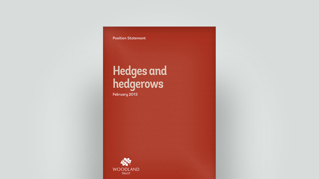 Hedges and hedgerows position statement, February 2013 Hedges and hedgerows position statement, February 2013