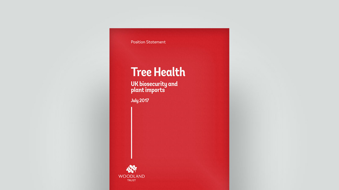 Tree health statement, July 2017 Tree health statement, July 2017