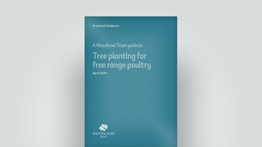 Tree planting for poultry guide, April 2014 Tree planting for poultry guide, April 2014