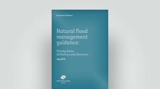 Flood management guidance, 2016