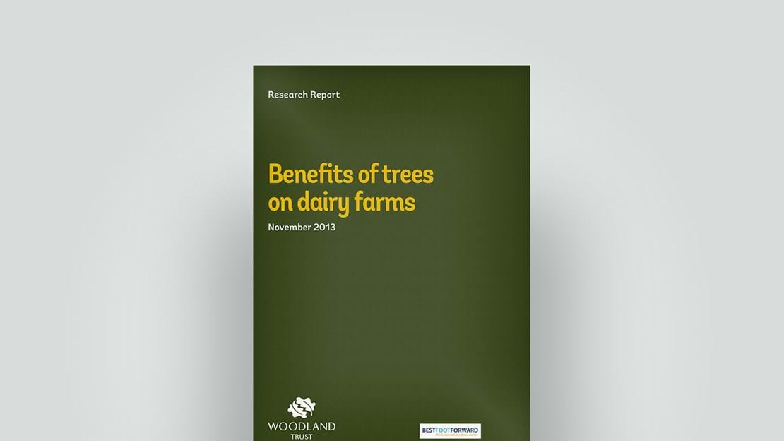 Tree benefits on dairy farms, November 2013 research report