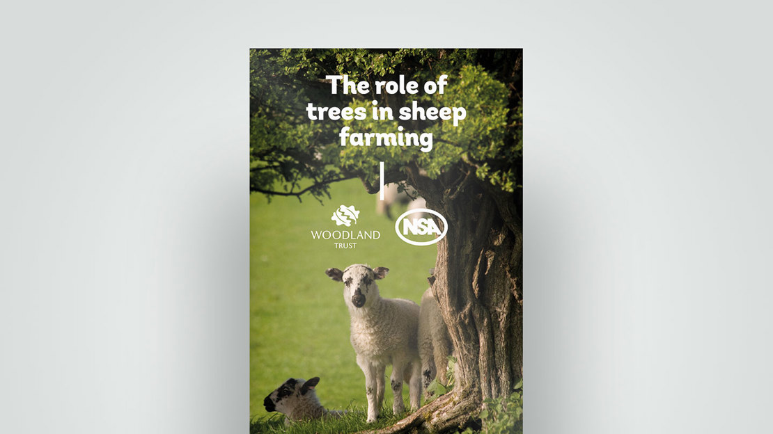 Role of trees in sheep farming leaflet, 2018 Role of trees in sheep farming leaflet, 2018