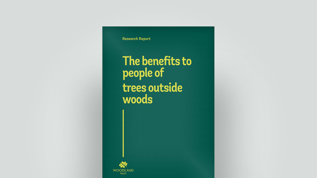 Trees outside woods report, 2018
