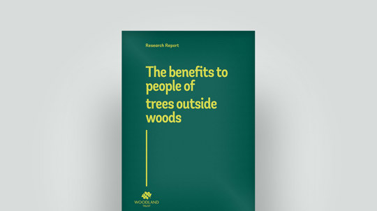 Trees outside woods report, 2018