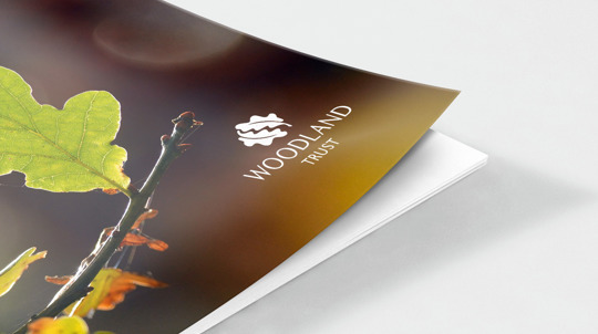 Oak leaf document cover