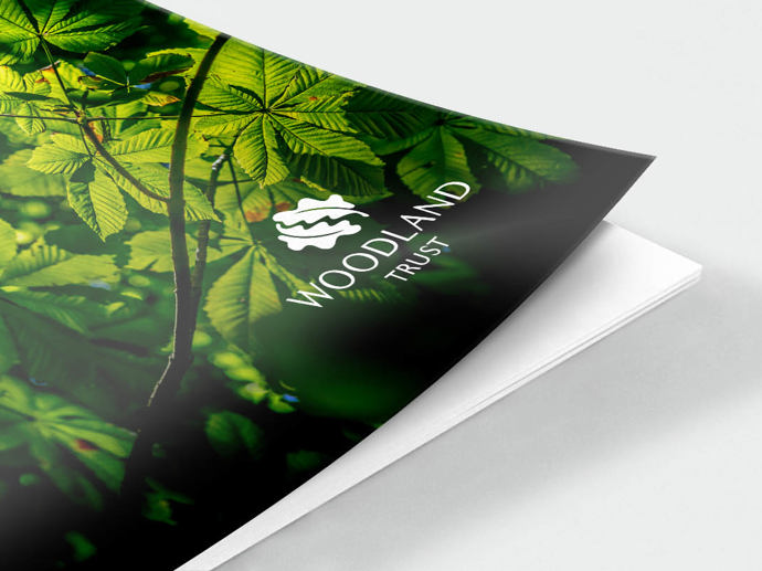 Umbraco.Cms.Infrastructure.PublishedCache.Property