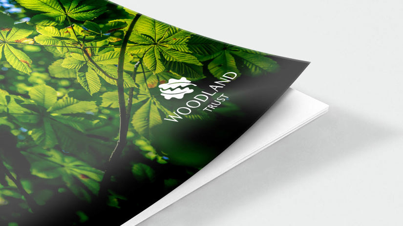 Umbraco.Cms.Infrastructure.PublishedCache.Property