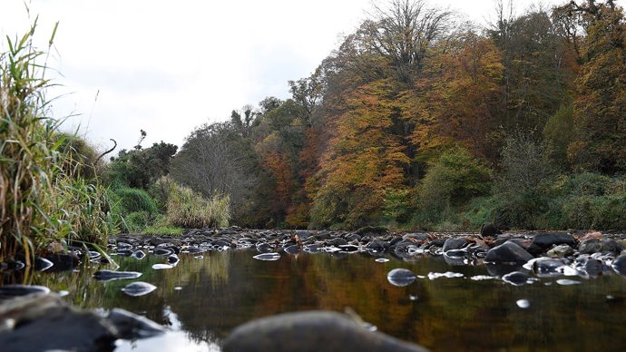Brackfield Wood River Faughan