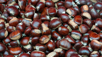 Sweet chestnuts piled up