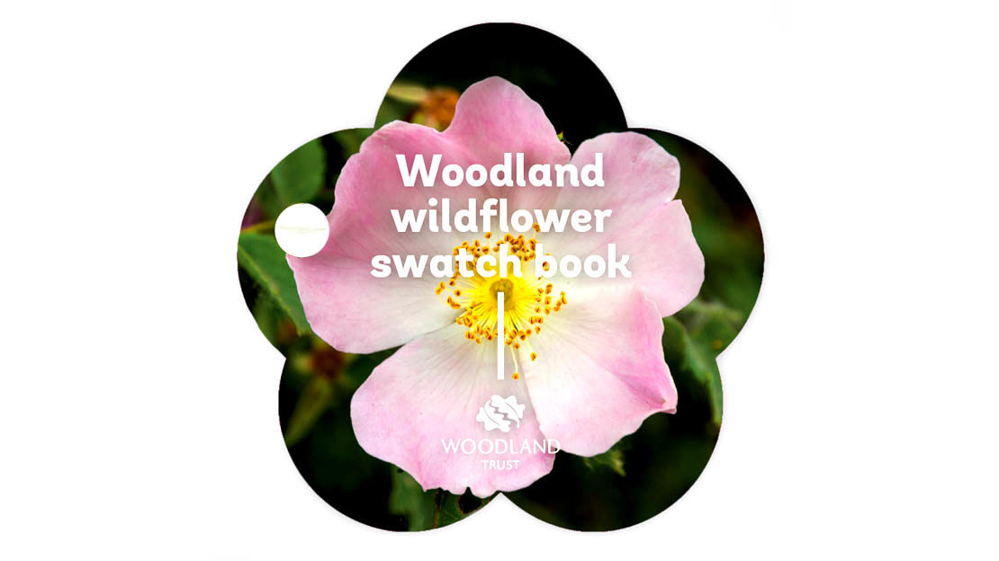 wildflower swatch book cover