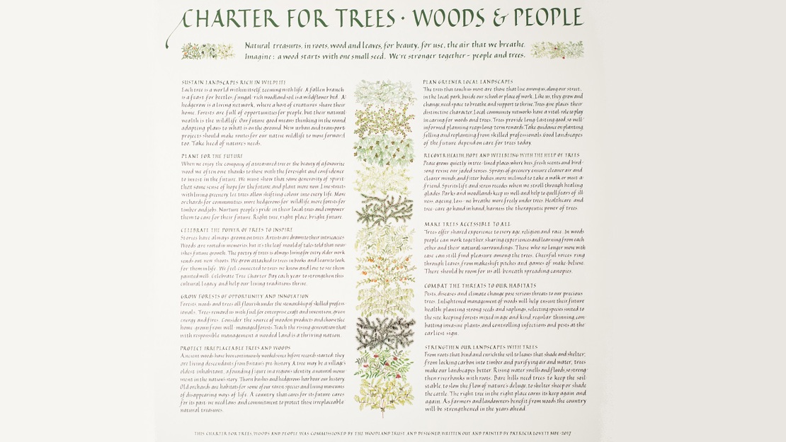 Illustrated Tree Charter document