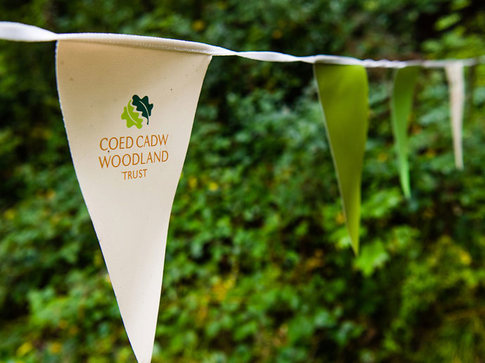 Umbraco.Cms.Infrastructure.PublishedCache.Property