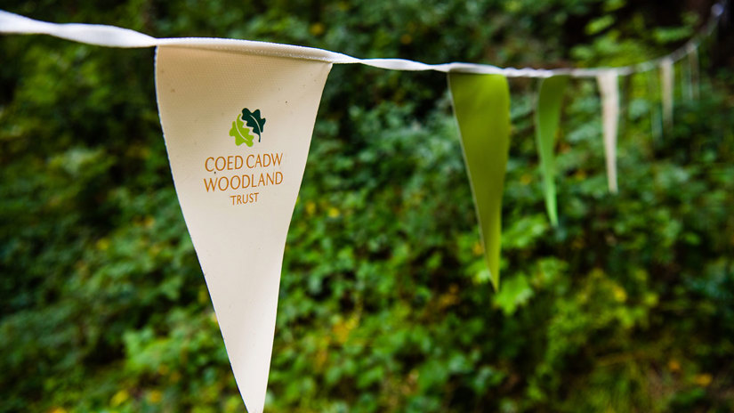 Umbraco.Cms.Infrastructure.PublishedCache.Property