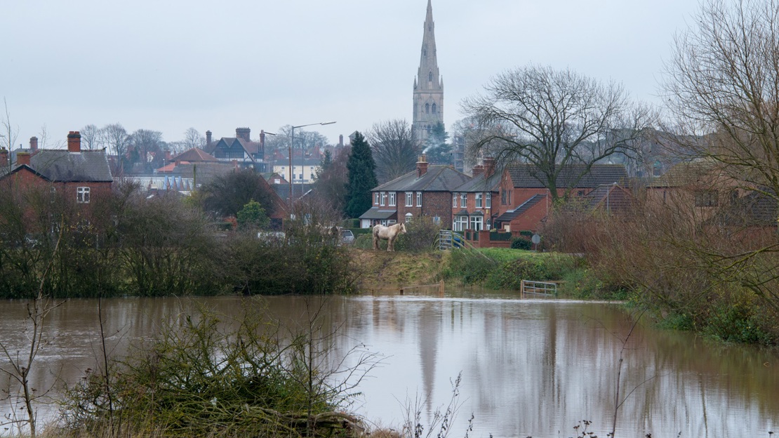 Part-submerged trees in a flooded field with a town in the background