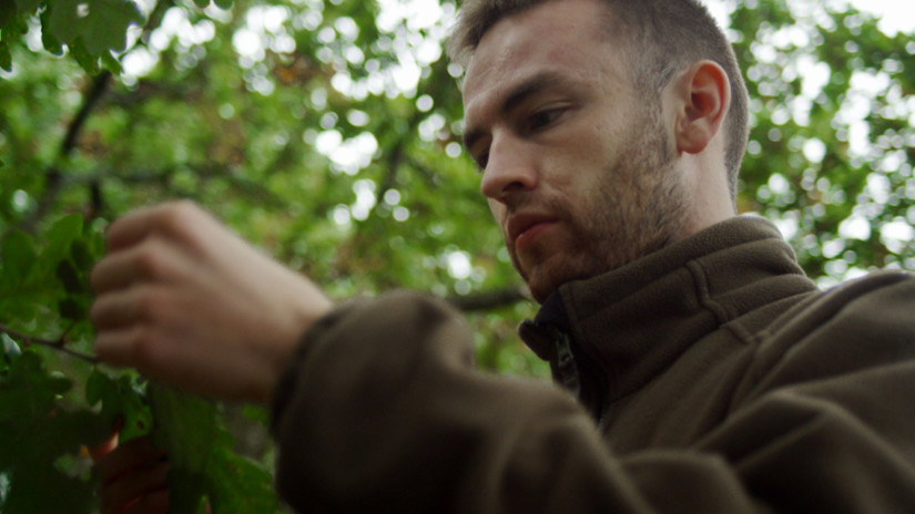 Umbraco.Cms.Infrastructure.PublishedCache.Property