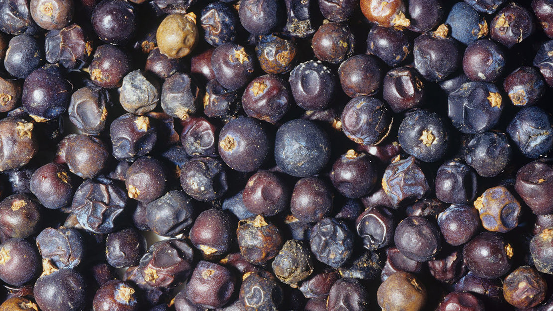 Whole dried juniper berries