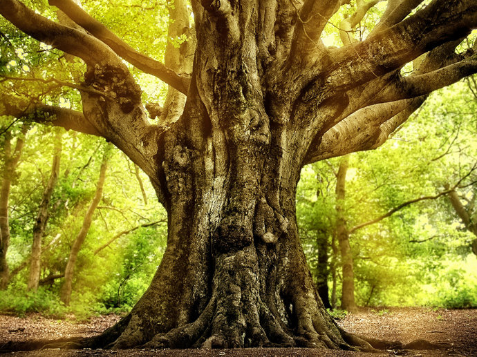 Umbraco.Cms.Infrastructure.PublishedCache.Property