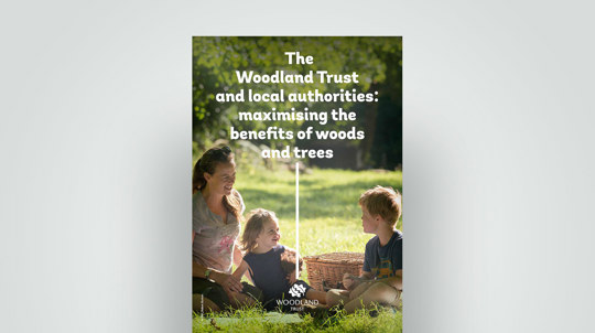 Benefits of woods and trees document cover
