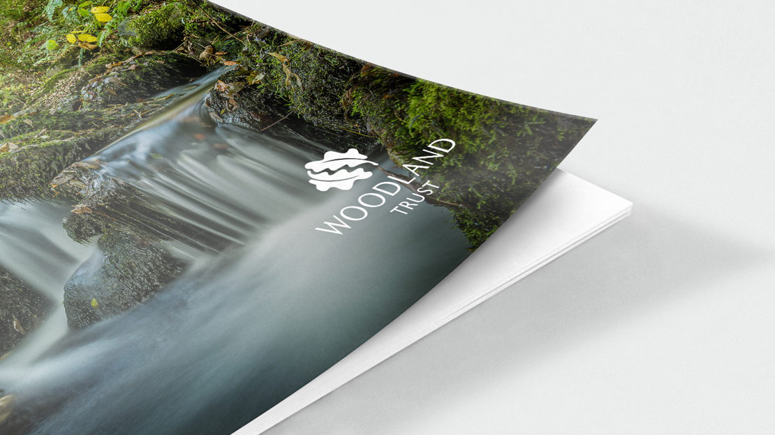 Waterfall in woodland