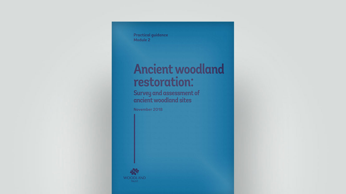 Ancient woodland restoration cover, November 2018 Ancient woodland restoration cover, November 2018