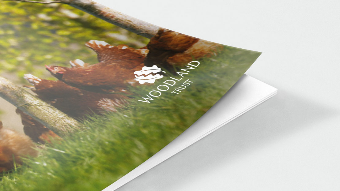 Role of trees in poultry farming research report cover, August 2012