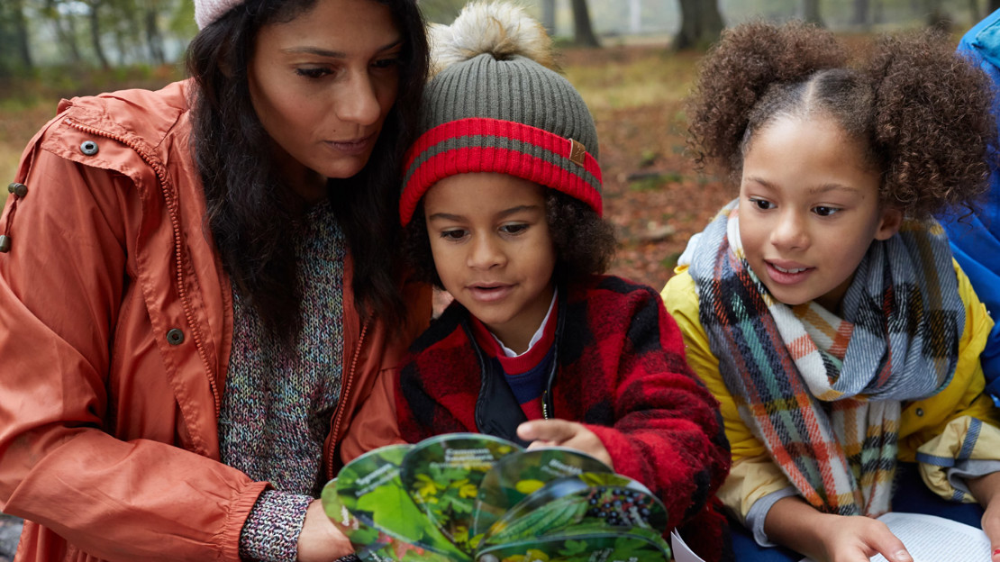 Family using the leaf swatch book