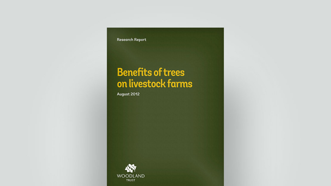 Benefits of trees on livestock farms report, August 2012