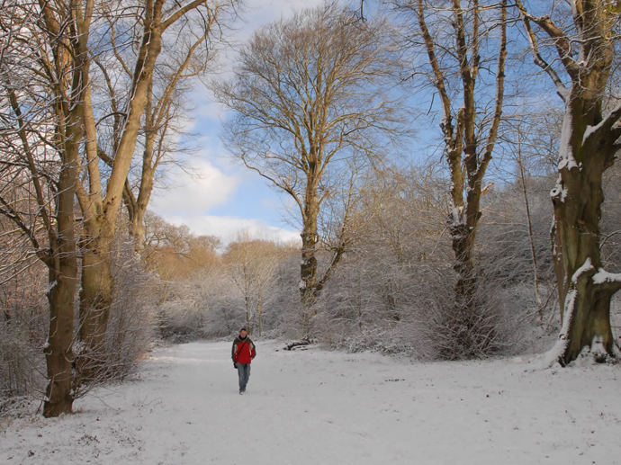 Umbraco.Cms.Infrastructure.PublishedCache.Property