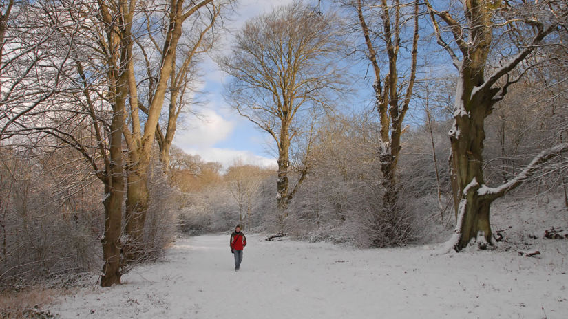 Umbraco.Cms.Infrastructure.PublishedCache.Property